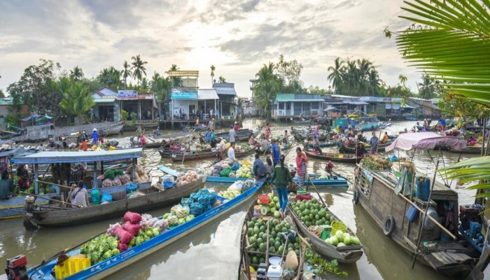Thuong nguon 1